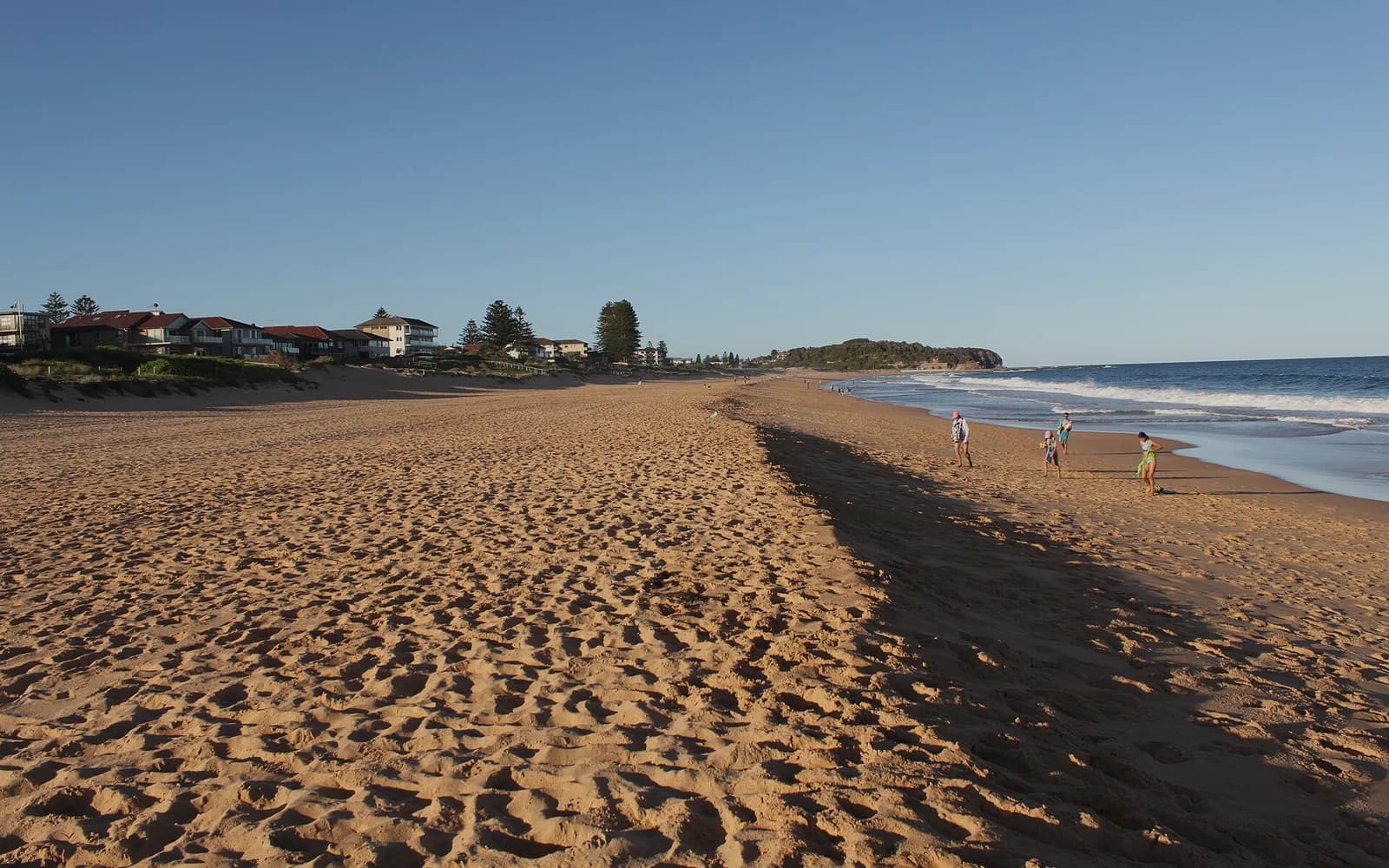 Narrabeen Beach on Sydney's Northern Beaches, with houses along the dunes